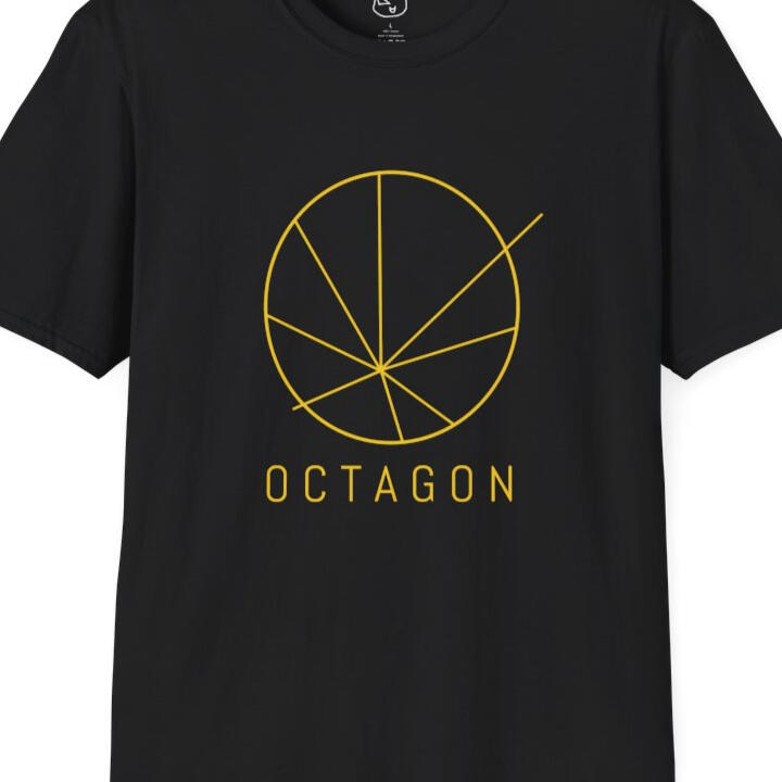 THE PERFECT OCTAGON T-SHIRT